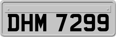 DHM7299