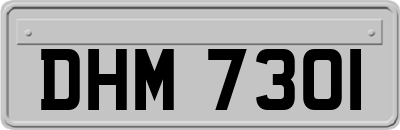 DHM7301