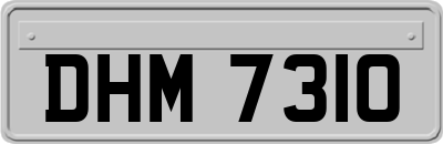 DHM7310