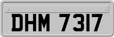 DHM7317
