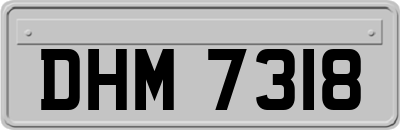 DHM7318