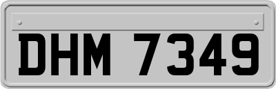 DHM7349