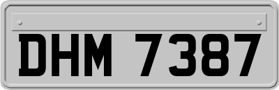 DHM7387