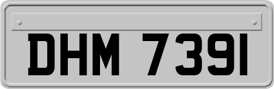 DHM7391