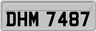 DHM7487