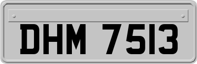 DHM7513