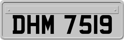 DHM7519