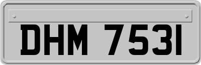 DHM7531