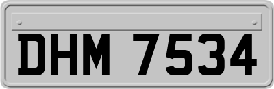 DHM7534