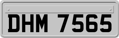 DHM7565