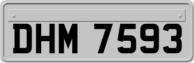DHM7593