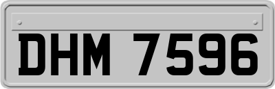 DHM7596