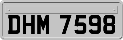 DHM7598