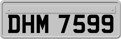 DHM7599