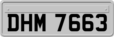 DHM7663