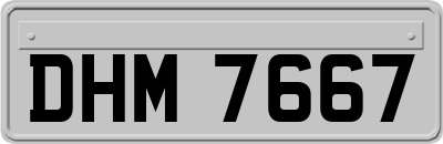 DHM7667