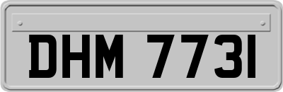 DHM7731