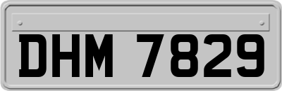 DHM7829