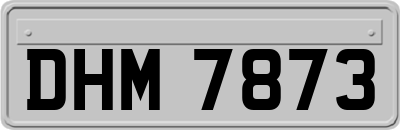 DHM7873