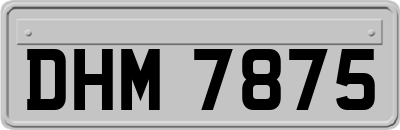 DHM7875
