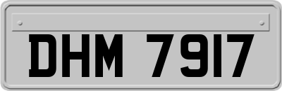 DHM7917