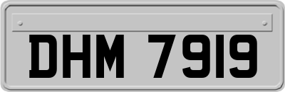 DHM7919