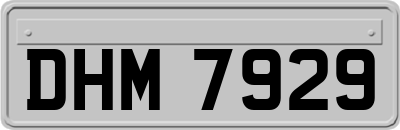 DHM7929