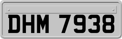 DHM7938