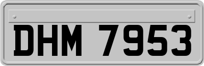 DHM7953