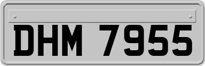 DHM7955