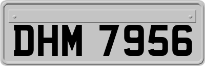 DHM7956