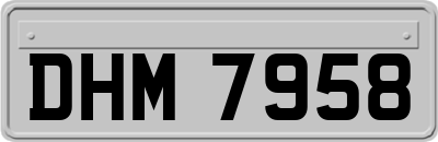 DHM7958