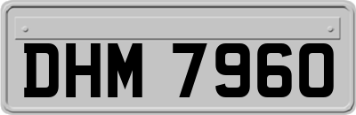 DHM7960