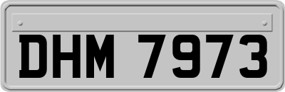 DHM7973