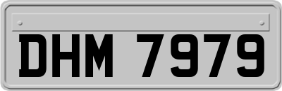 DHM7979