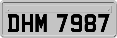 DHM7987
