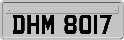 DHM8017