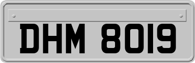 DHM8019