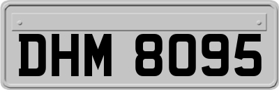 DHM8095