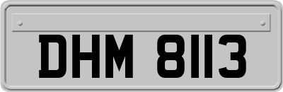 DHM8113
