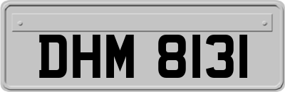 DHM8131