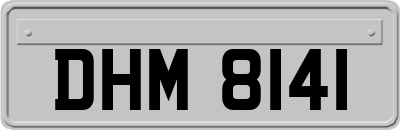 DHM8141