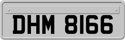 DHM8166
