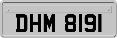 DHM8191