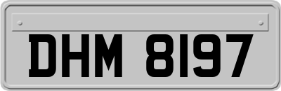 DHM8197