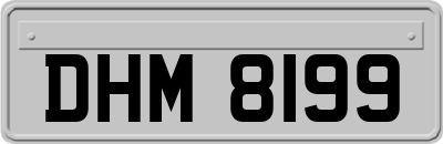 DHM8199