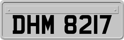 DHM8217