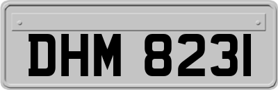 DHM8231