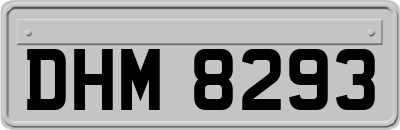 DHM8293