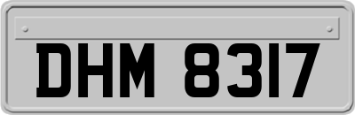 DHM8317